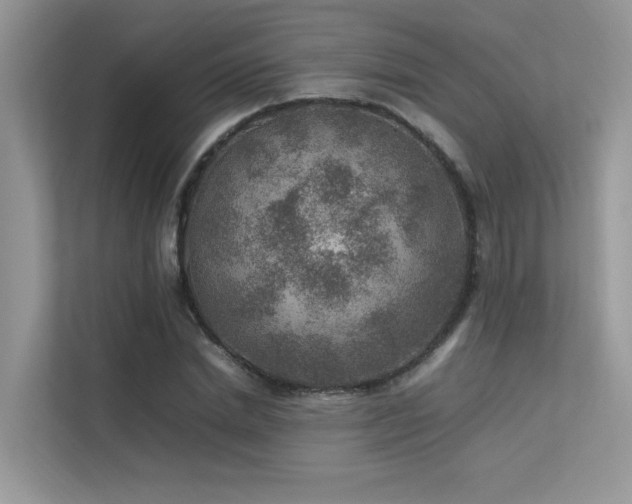 X0000113370830200909151358