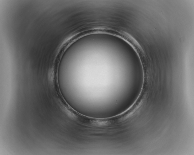 X0000113370831200909151358