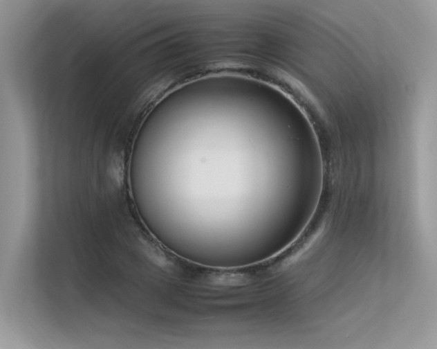 X0000113370833200909151358