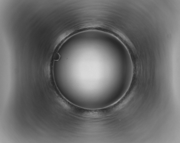 X0000113370834200909151358