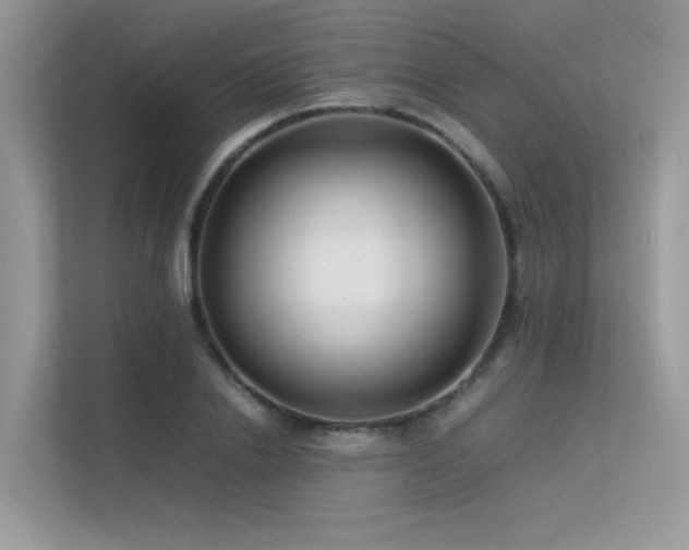 X0000113370838200909151358