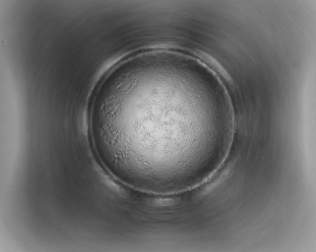 X0000113370839200909151358