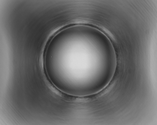 X0000113370840200909151358