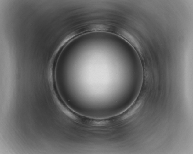 X0000113370843200909151358