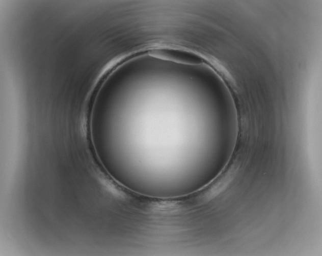 X0000113370846200909151358