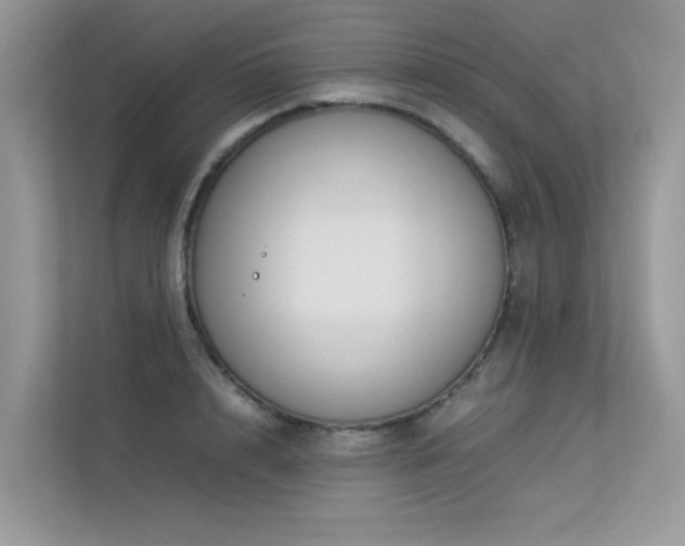 X0000113370848200909151358