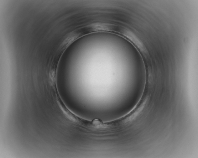 X0000113370849200909151358