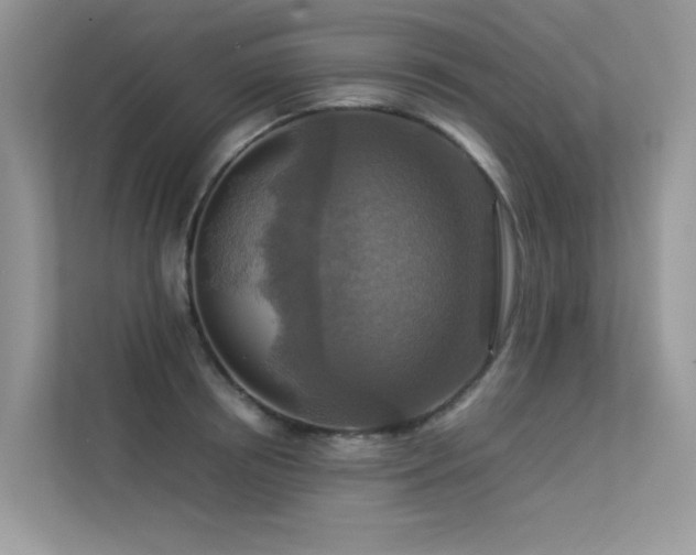 X0000113370850200909151358