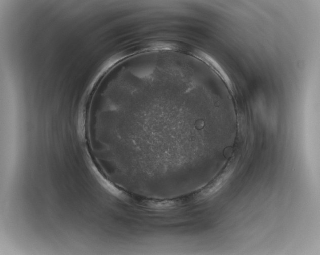 X0000113370851200909151358