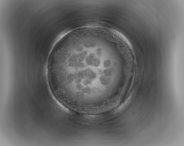 X0000113370855200909151358