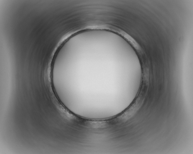 X0000113370856200909151358