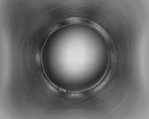 X0000113370857200909151358