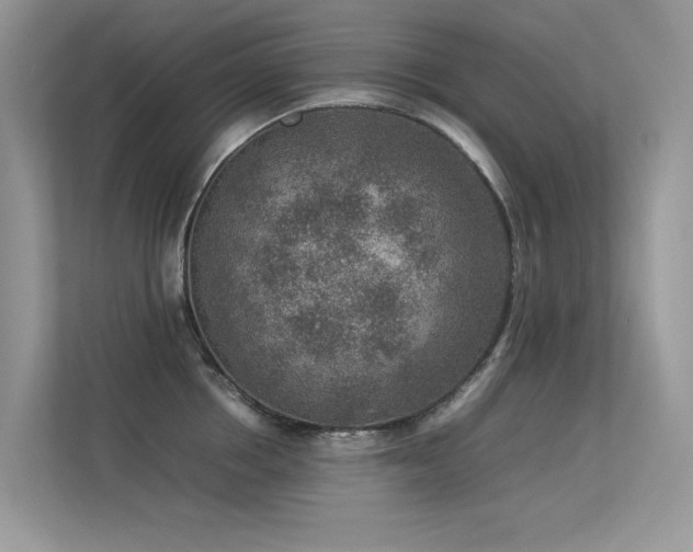 X0000113370858200909151358
