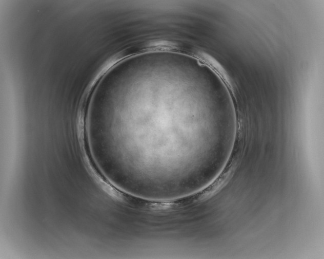 X0000113370859200909151358