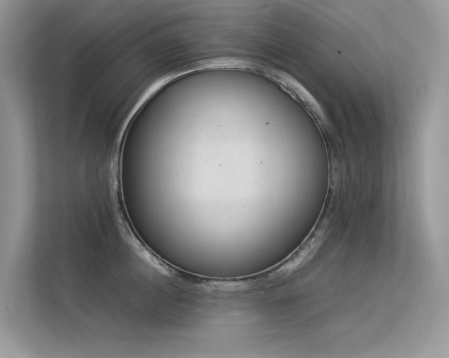 X0000113370860200909151358