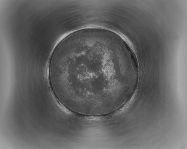 X0000113370862200909151358
