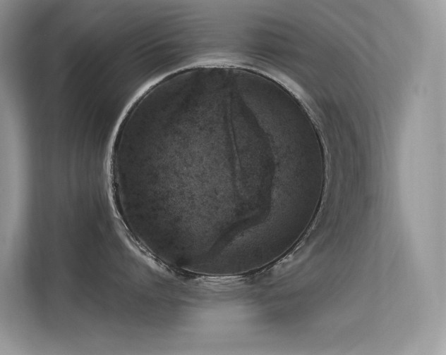 X0000113370864200909151358