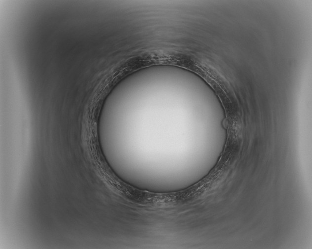 X0000113370865200909151357