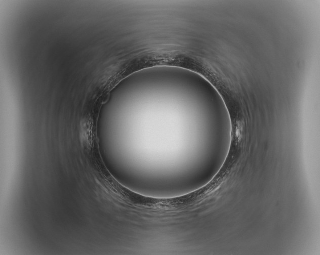 X0000113370867200909151357