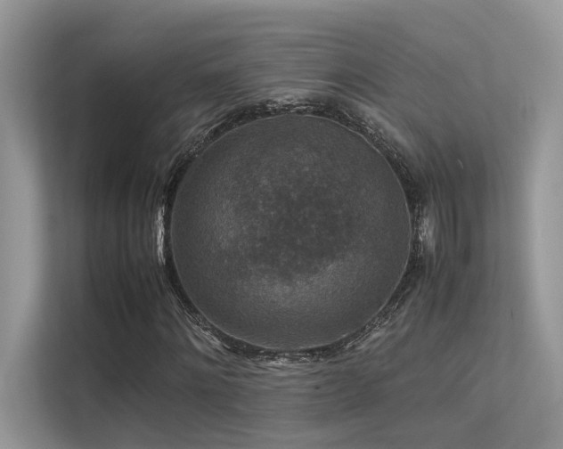 X0000113370868200909151357