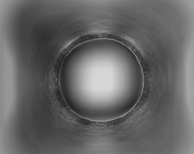 X0000113370871200909151357