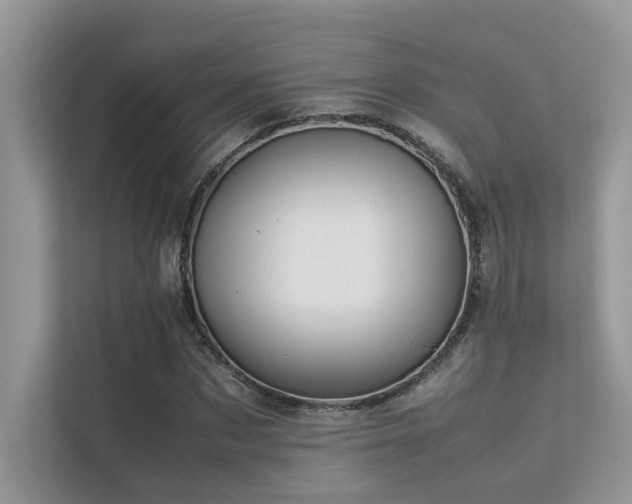X0000113370873200909151357