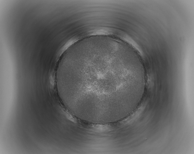 X0000113370874200909151357