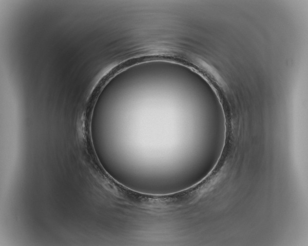 X0000113370875200909151357