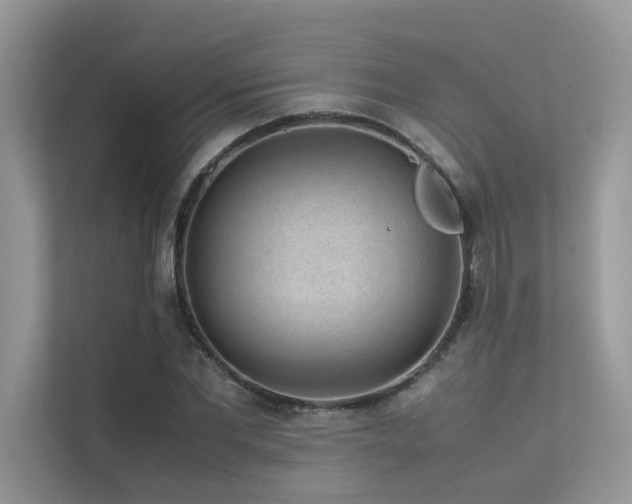 X0000113370877200909151357