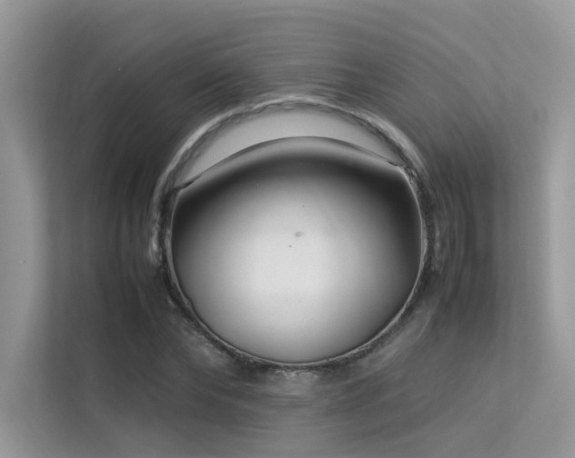X0000113370878200909151357