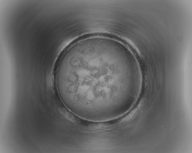 X0000113370879200909151357