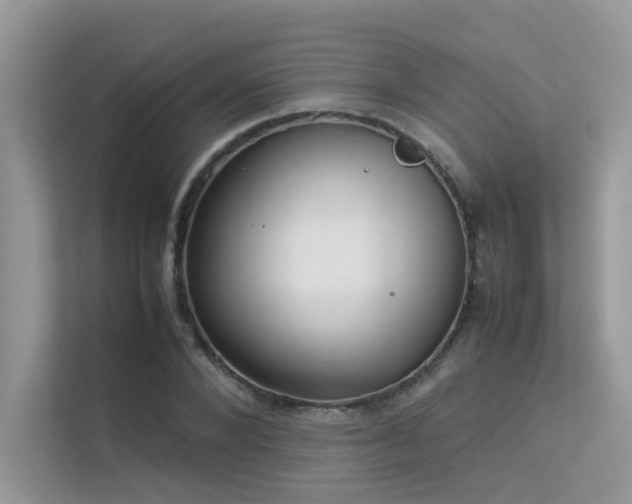 X0000113370880200909151357