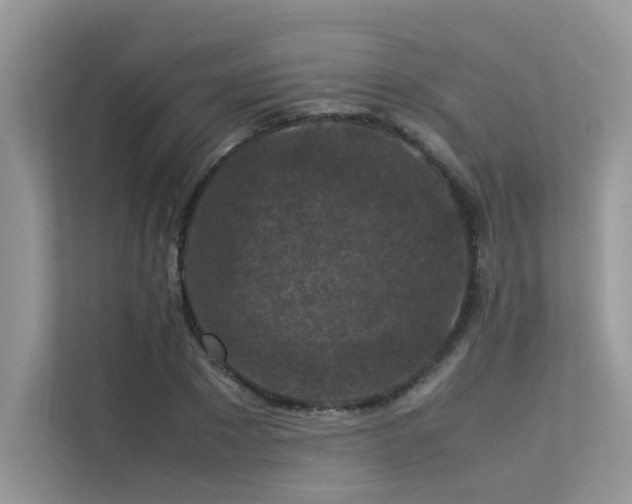 X0000113370881200909151357