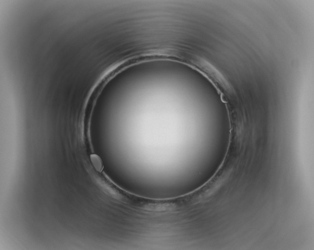 X0000113370884200909151357