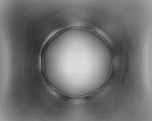X0000113370886200909151357