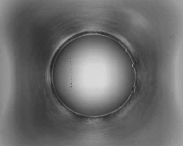 X0000113370887200909151357