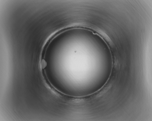 X0000113370888200909151357