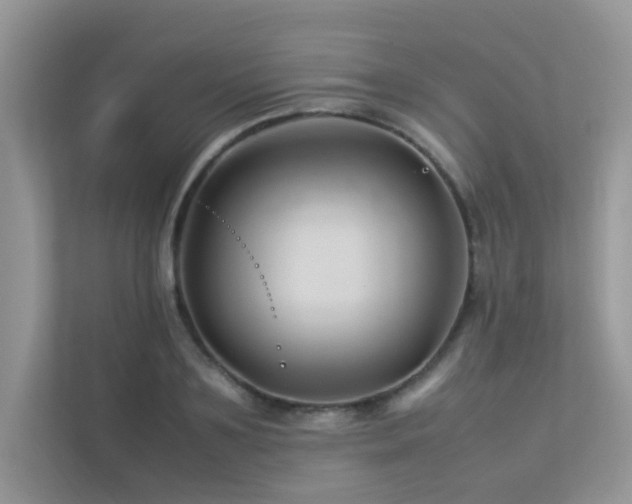 X0000113370891200909151357