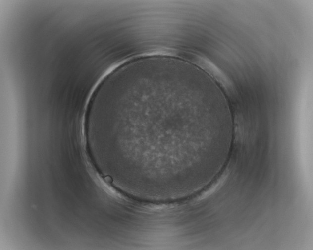 X0000113370892200909151357