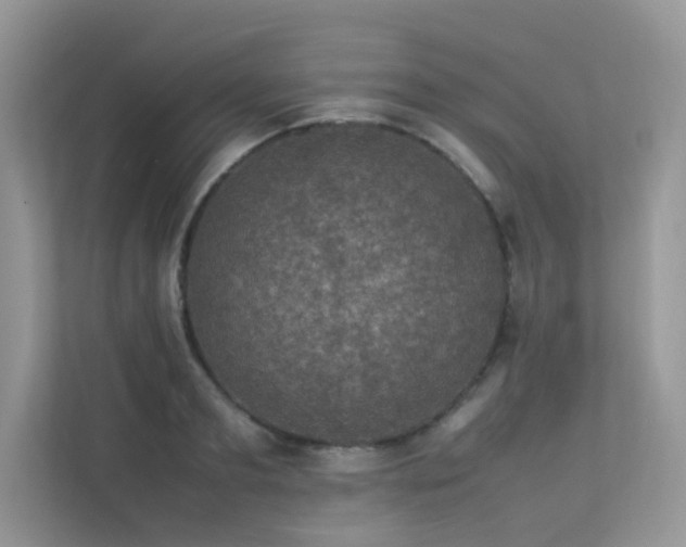 X0000113370893200909151357