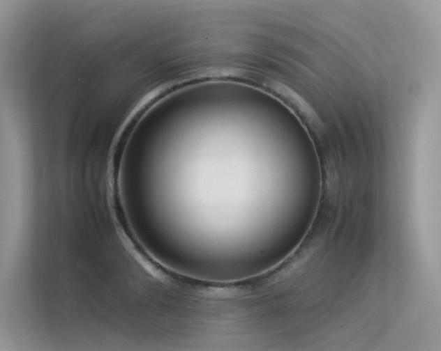 X0000113370894200909151357