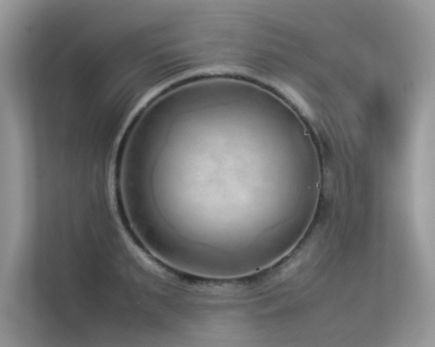 X0000113370895200909151357