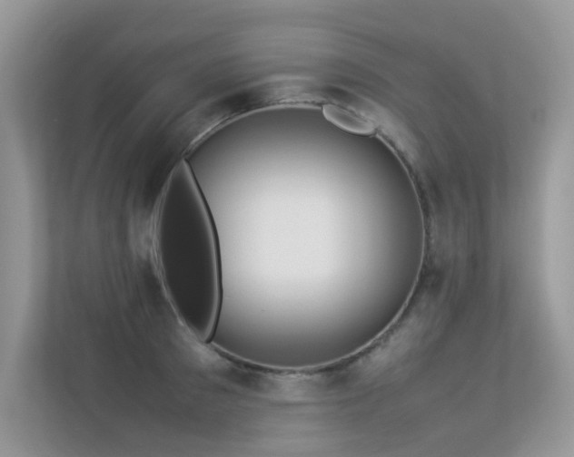 X0000113370897200909151357