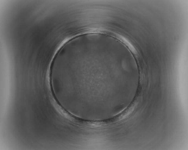 X0000113370899200909151357
