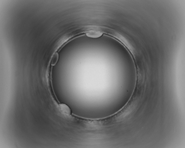 X0000113370901200909151357