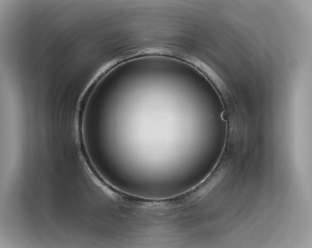 X0000113370902200909151357