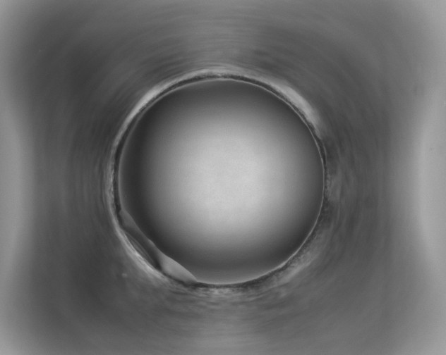 X0000113370903200909151357