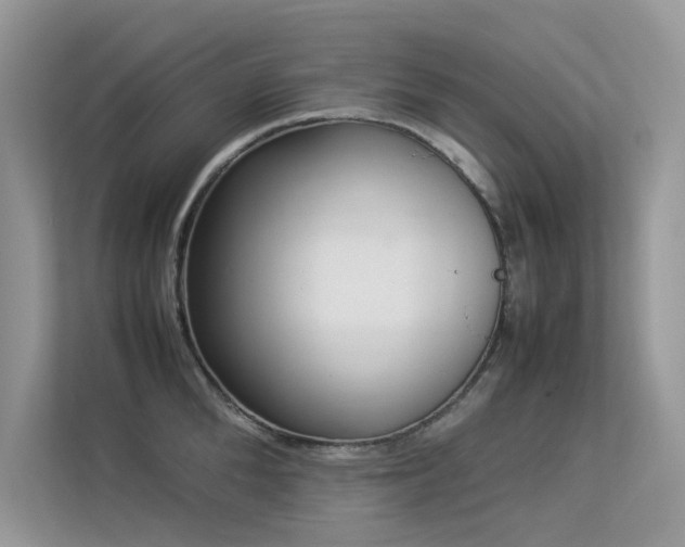 X0000113370904200909151357