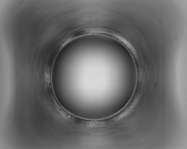 X0000113370905200909151357