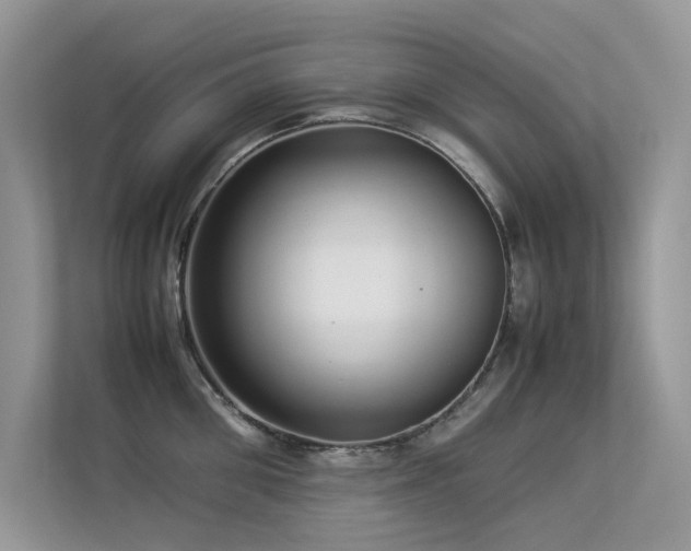 X0000113370906200909151357